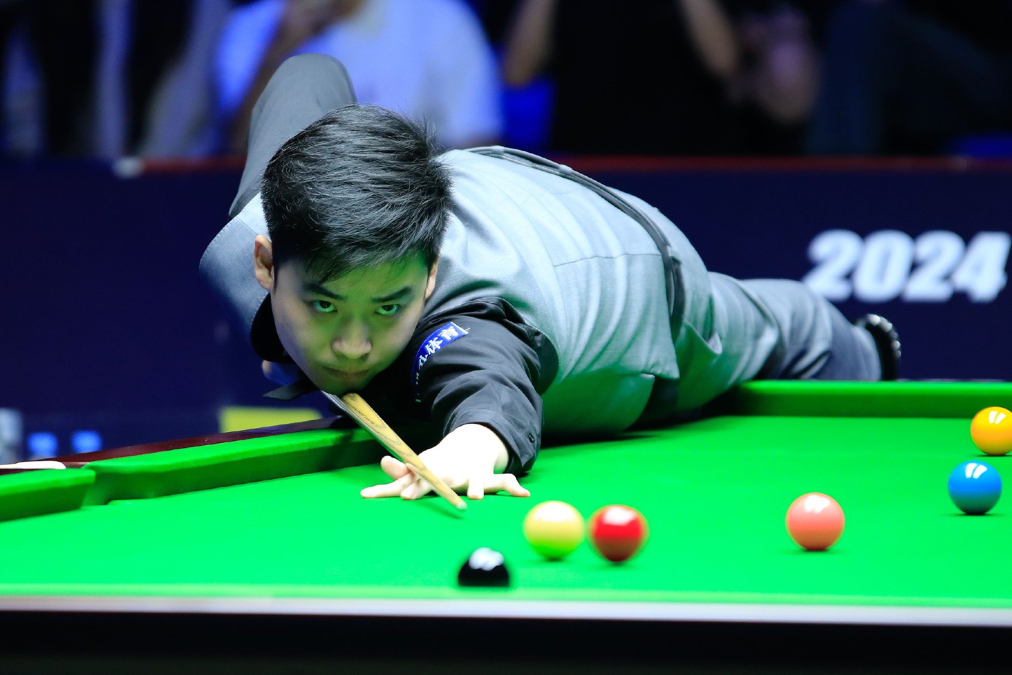 份详细的康 份详细的康